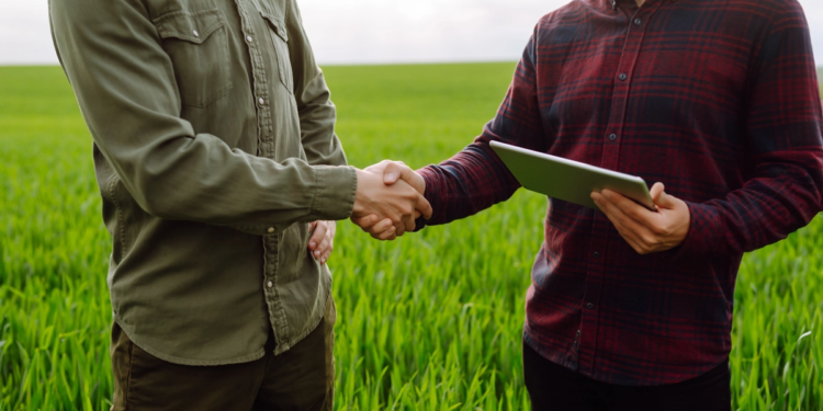 Cooperativas são principais agentes do crédito rural em Minas Gerais