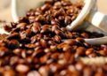 Expocacer lança e-commerce internacional na Specialty Coffee Expo 2025
