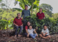 Produtor de café na Bahia aposta no cultivo orgânico para aumento na produtividade