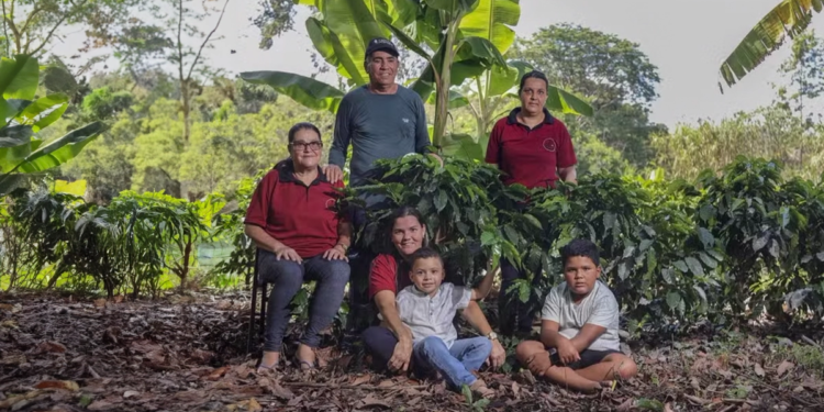 Produtor de café na Bahia aposta no cultivo orgânico para aumento na produtividade