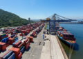 Com aumento de 13% no valor de exportação, cooperativas brasileiras expandem relevância no comércio exterior