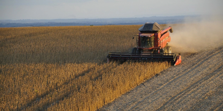 Cooperativas apresentam propostas para o Plano Safra 25/26 e devem liderar crédito rural