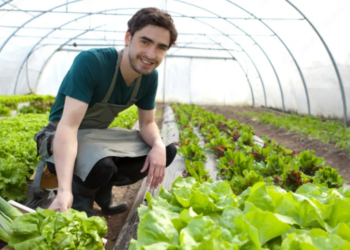 Programa Agro Jovem visa profissionalizar os jovens no campo