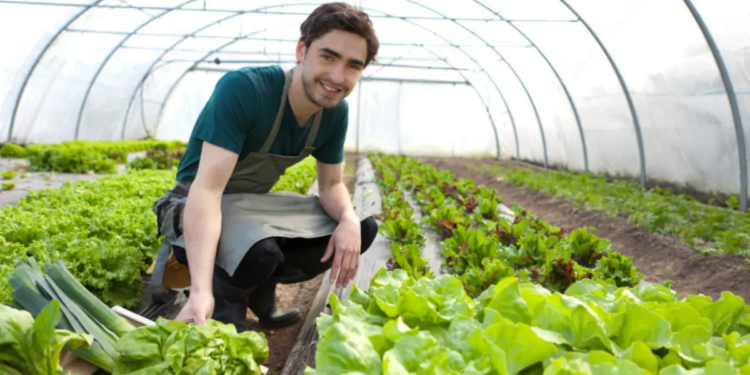 Programa Agro Jovem visa profissionalizar os jovens no campo