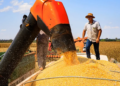 Governo fortalece o Agronegócio com linhas de crédito e seguro rural