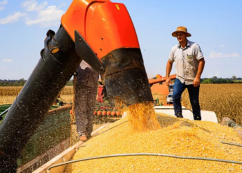 Governo fortalece o Agronegócio com linhas de crédito e seguro rural