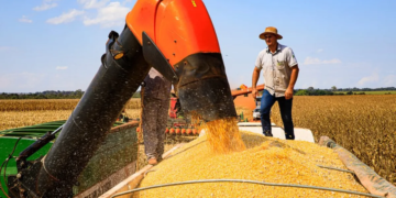 Governo fortalece o Agronegócio com linhas de crédito e seguro rural