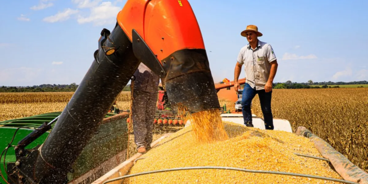 Governo fortalece o Agronegócio com linhas de crédito e seguro rural