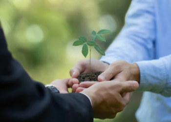 Relatório de Sustentabilidade de cooperativa financeira reforça compromisso com o desenvolvimento sustentável