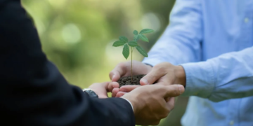 Relatório de Sustentabilidade de cooperativa financeira reforça compromisso com o desenvolvimento sustentável