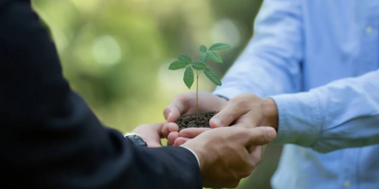 Relatório de Sustentabilidade de cooperativa financeira reforça compromisso com o desenvolvimento sustentável