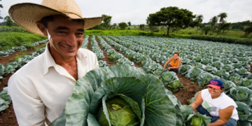 Cooperativa de crédito firma parceria para impulsionar agricultura familiar do Goiás