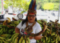 Agricultura indigena
