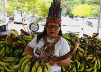 Agricultura indigena