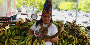 Agricultura indigena