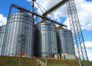 Créditos de ICMS fortalecem agroindústrias e cooperativas no Paraná