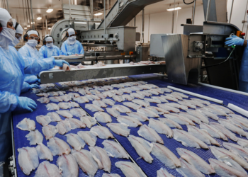 Cooperativa agro industrial recebe vice-embaixador do Reino Unido