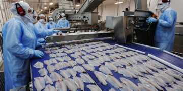 Cooperativa agro industrial recebe vice-embaixador do Reino Unido