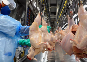 China abre novos mercados para produtos do agro brasileiro