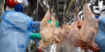 China abre novos mercados para produtos do agro brasileiro