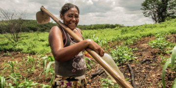Parceria entre setor privado e Cooperativa na Bahia empodera mulheres rurais e mostra a força do cooperativismo no campo