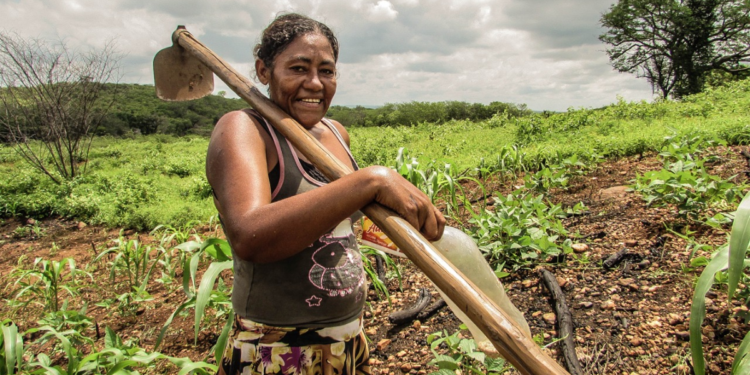 Parceria entre setor privado e Cooperativa na Bahia empodera mulheres rurais e mostra a força do cooperativismo no campo