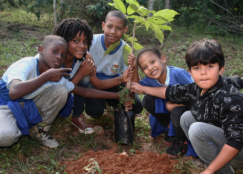 Fundo Social impulsiona educação ambiental e práticas sustentáveis em escolas e cooperativas do Noroeste gaúcho