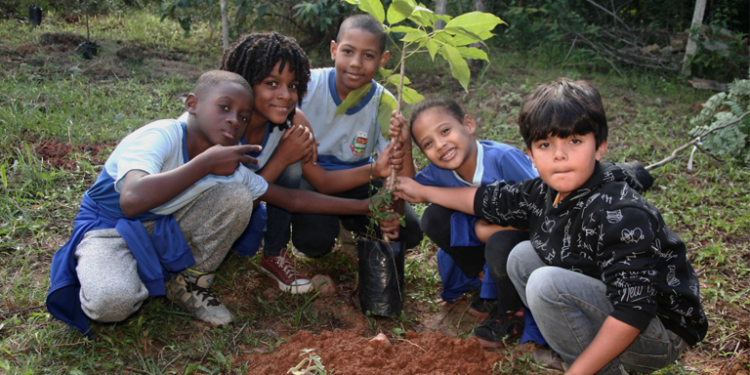 Fundo Social impulsiona educação ambiental e práticas sustentáveis em escolas e cooperativas do Noroeste gaúcho