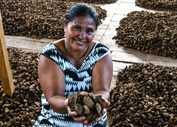 Cooperativa que atende mais de 2,5 mil famílias já exporta produtos amazônicos para 11 países