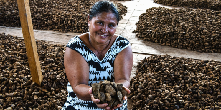 Cooperativa que atende mais de 2,5 mil famílias já exporta produtos amazônicos para 11 países