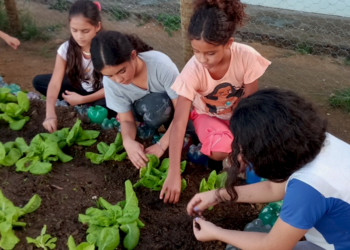 Cooperativa Mirim da Escola Conquista Criança ganha prêmio nacional em projeto de sustentabilidade