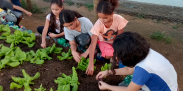 Cooperativa Mirim da Escola Conquista Criança ganha prêmio nacional em projeto de sustentabilidade
