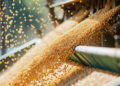 Cooperativa agro entre as maiores exportadoras do Paraguai