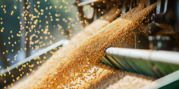 Cooperativa agro entre as maiores exportadoras do Paraguai