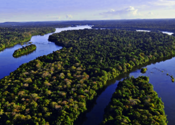 Cooperativismo apoia projeto da Lei Geral do Licenciamento Ambiental