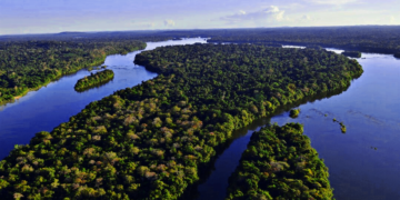 Cooperativismo apoia projeto da Lei Geral do Licenciamento Ambiental