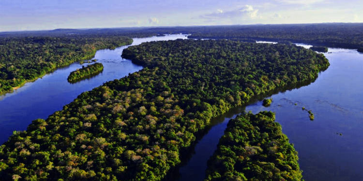 Cooperativismo apoia projeto da Lei Geral do Licenciamento Ambiental