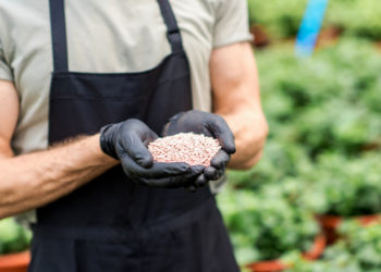 Cooperativas goianas trazem fertilizante inédito ao estado por meio de parceria com a OCB/GO
