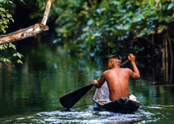 amazonia 1