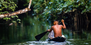 amazonia 1
