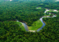 Cooperativismo apoia projeto da Lei Geral do Licenciamento Ambiental