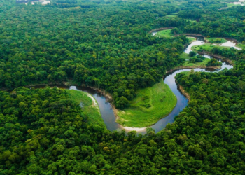 Cooperativismo apoia projeto da Lei Geral do Licenciamento Ambiental
