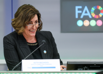 Sustentabilidade do agro brasileiro surpreende diretora da FAO