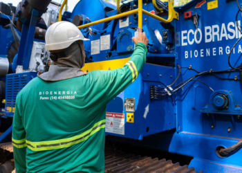 Cooperativa curitibana acompanha crescimento da bioenergia no Brasil com 20% de crescimento no primeiro trimestre