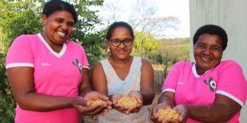 Mulheres do Catimbau inauguram cooperativa focada em bioeconomia e saberes tradicionais da Caatinga