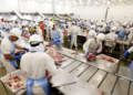 Cooperativas agropecuárias paranaenses contribuem para a empregabilidade do estado