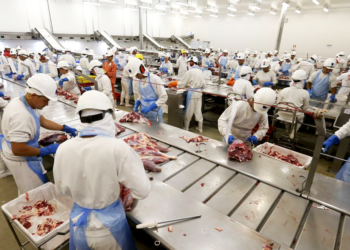Cooperativas agropecuárias paranaenses contribuem para a empregabilidade do estado