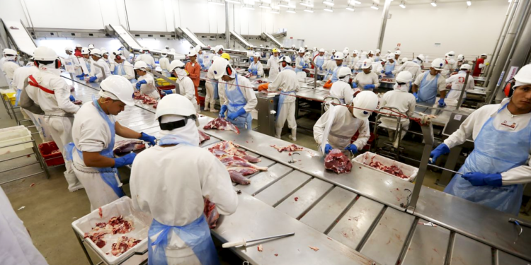 Cooperativas agropecuárias paranaenses contribuem para a empregabilidade do estado