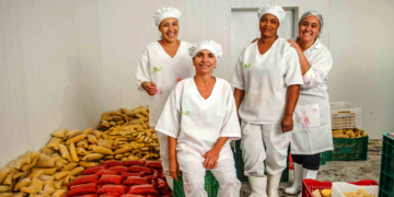 CoopsDay 2025: participe e mostre a força do cooperativismo mineiro