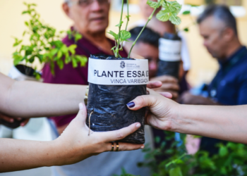 Semana do Meio Ambiente destaca iniciativas sustentáveis do cooperativismo paranaense